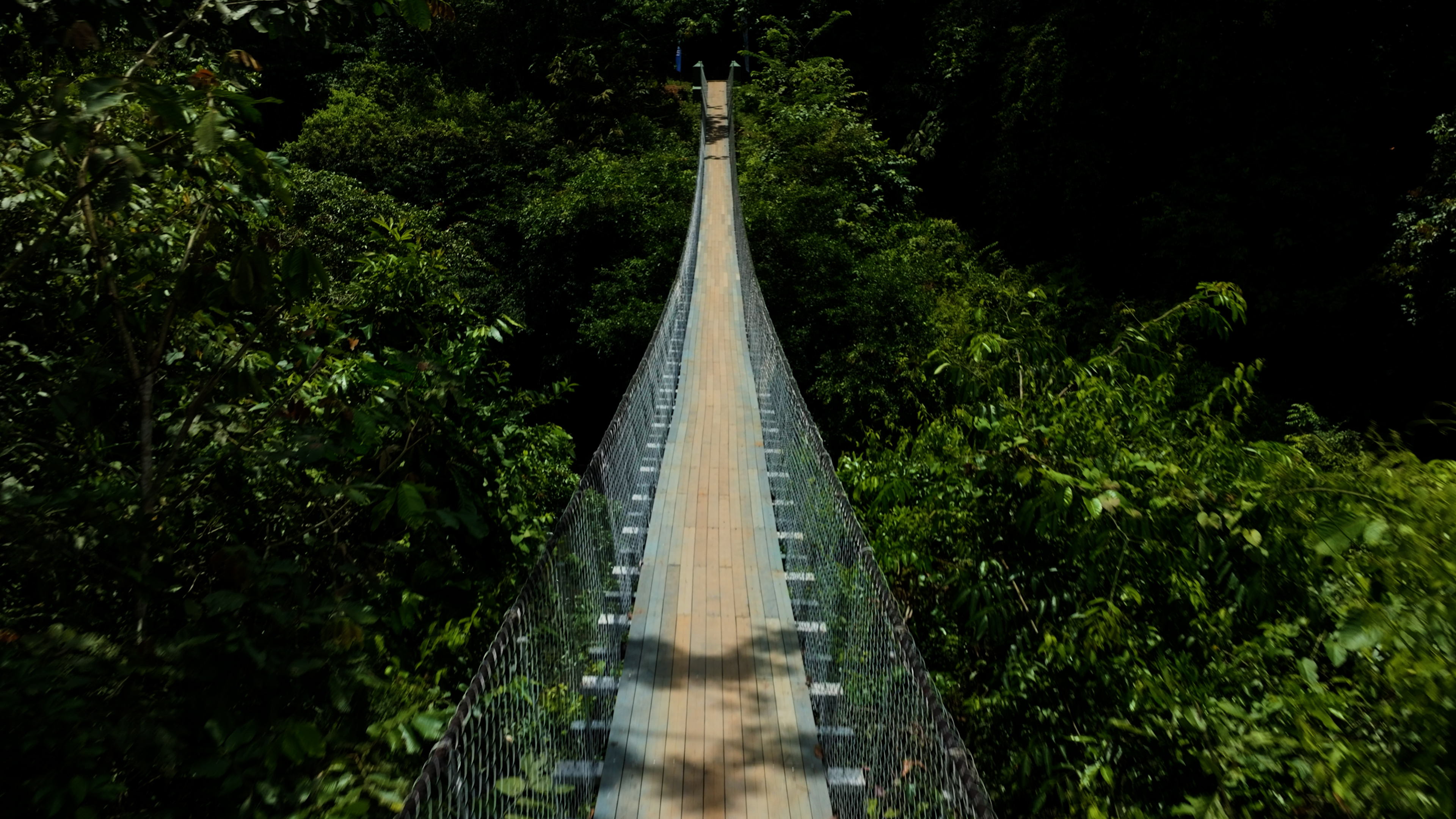 puente selva