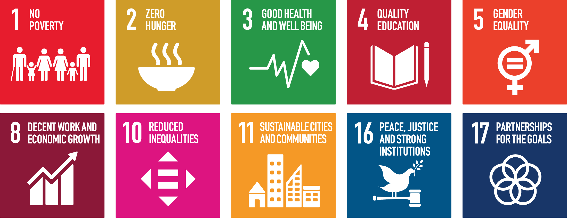 SDG Icons