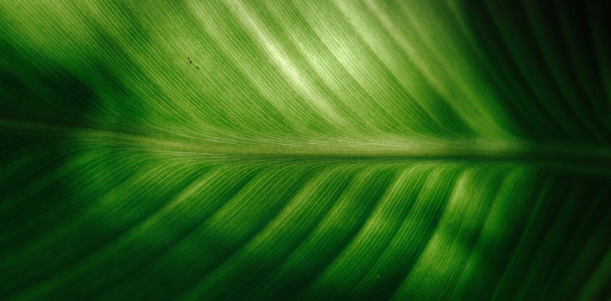 Gestión de Cambio Climático y Huella Ambiental Empresarial 